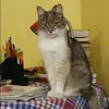 Отзыв от Яна Селезнева